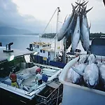 Petit Coin De Paradis A Port-leucate 펜션 루케이트